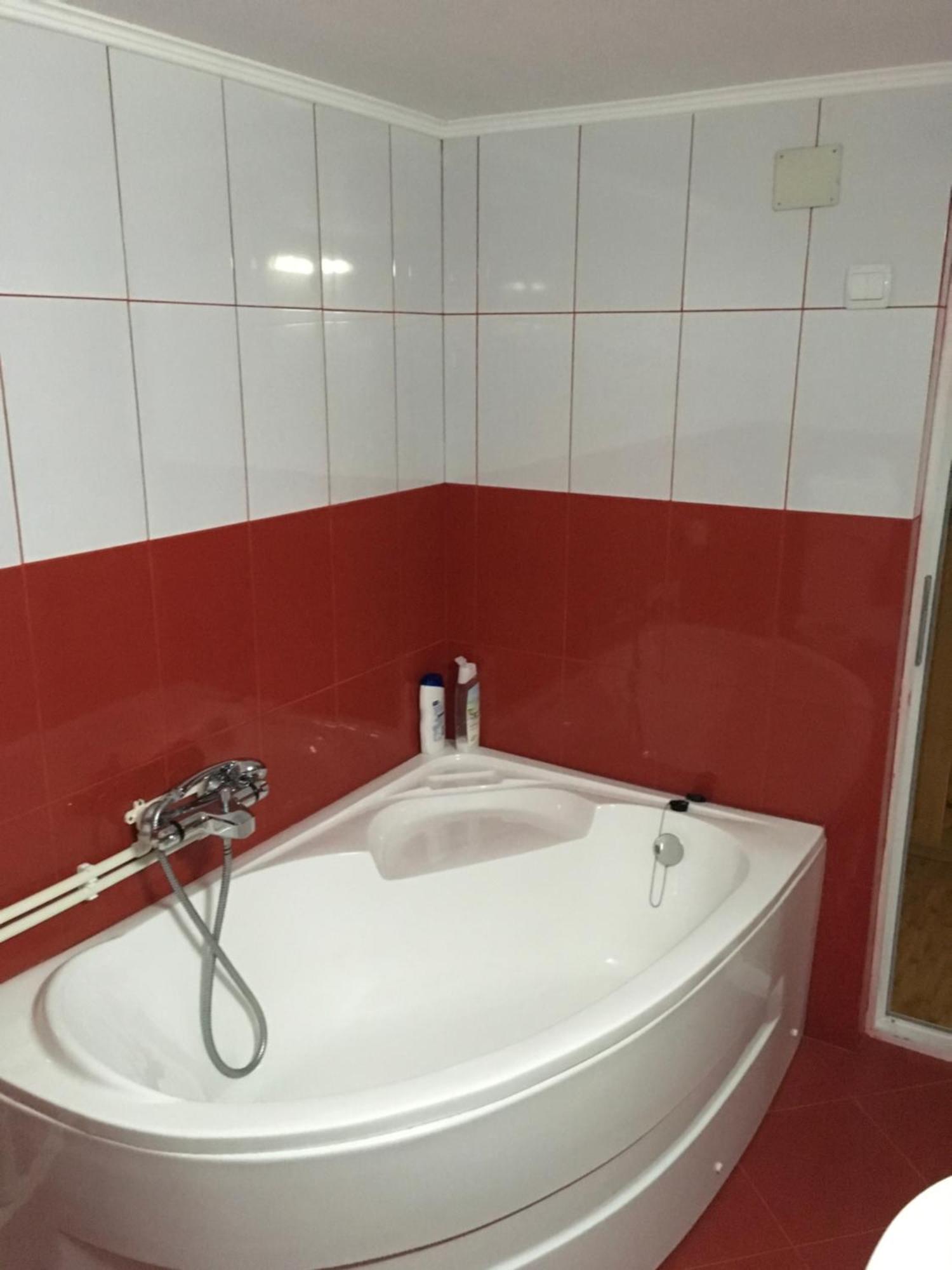 Casa Pelerinului Apartment Capatineni-Paminteni Luaran gambar